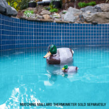 Matching mallard chlorine dispenser and thermometer