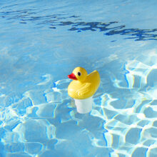 32140 | Pool Duck Chlorine Dispenser
