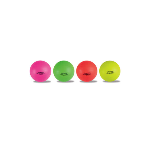 72700 | DLX Water Sport Ball Assortment