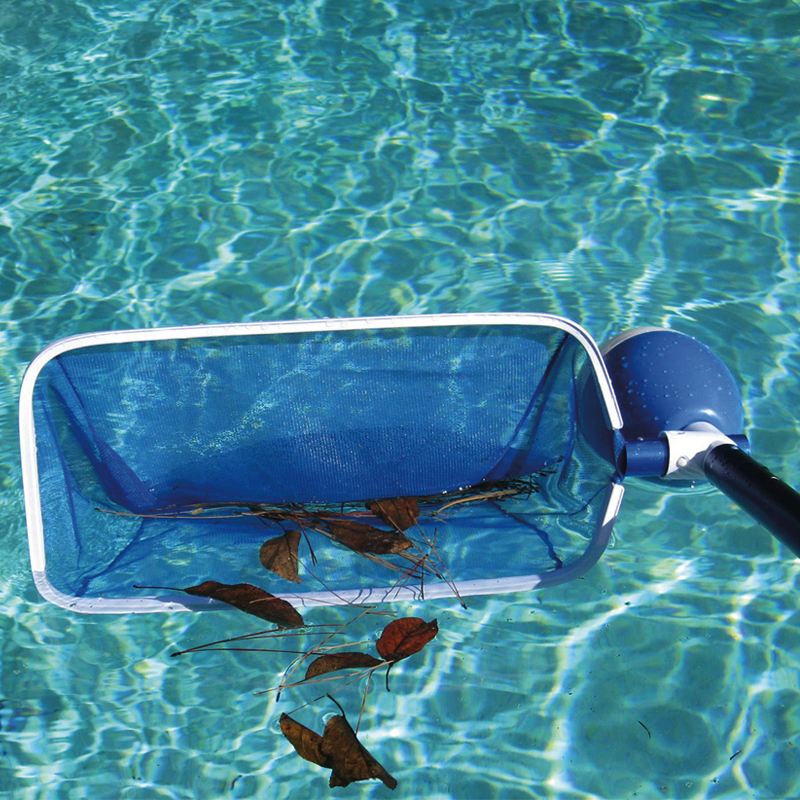 pool skimmer swim and fun