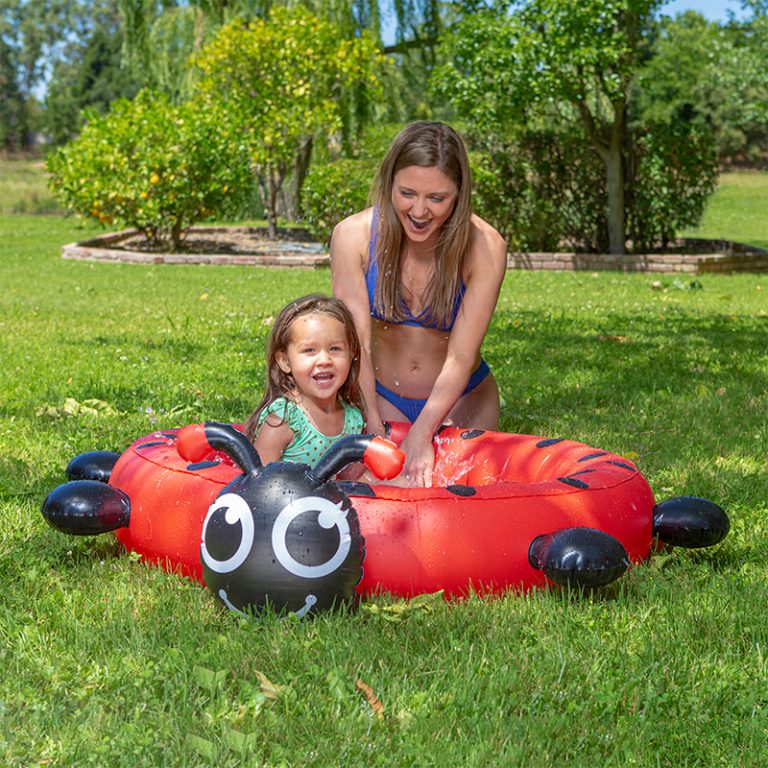 ladybug vacuum for pool