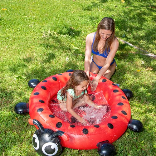 ladybug pool cleaner