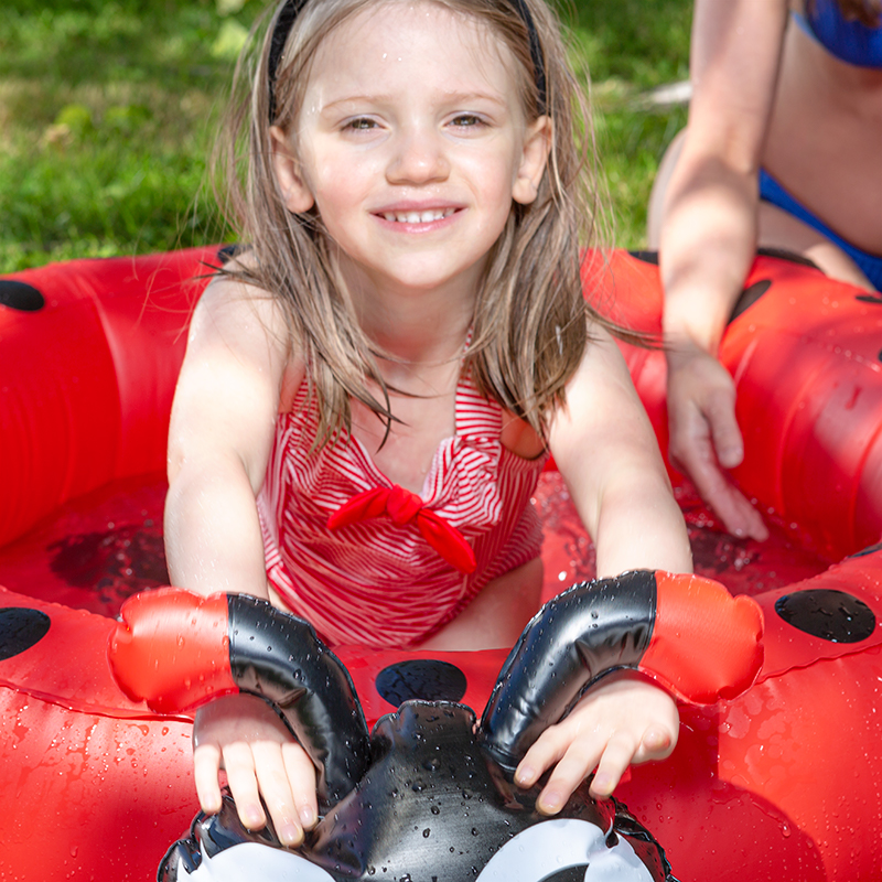 ladybug pool cleaner