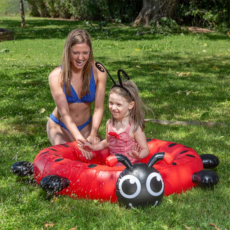 ladybug pool cleaner