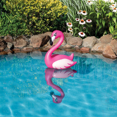 81432 | Flamingo Pool Decor Lifestyle 2
