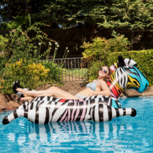 81747 LS Zebra Jumbo Rider 04RGB 800px