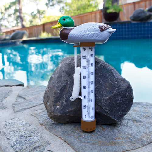 Mallard Duck Thermometer - Image 5