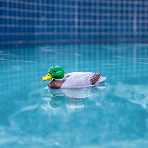 Mallard Duck Thermometer - Image 2