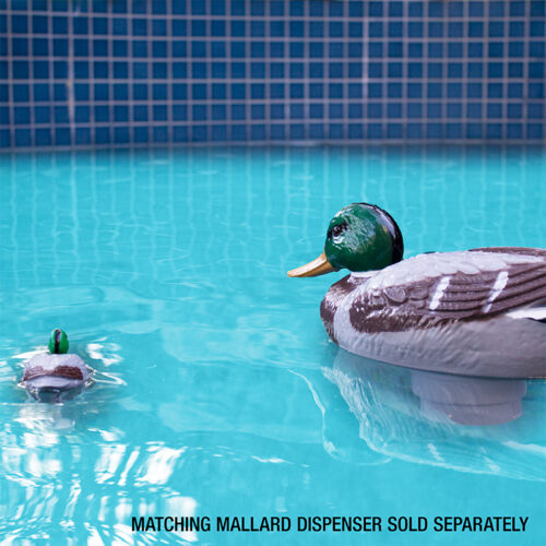 Mallard Duck Thermometer - Image 6