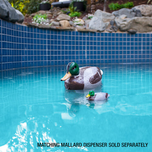 Mallard Duck Thermometer - Image 7